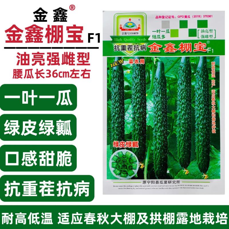 金鑫棚宝耐热油亮黄瓜种子绿肉绿心强雌刺黄瓜种籽抗重茬青瓜
