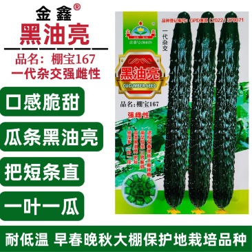 金鑫黑油亮黄瓜种子绿心绿瓤深绿油亮强雌型密刺黄瓜种籽耐寒