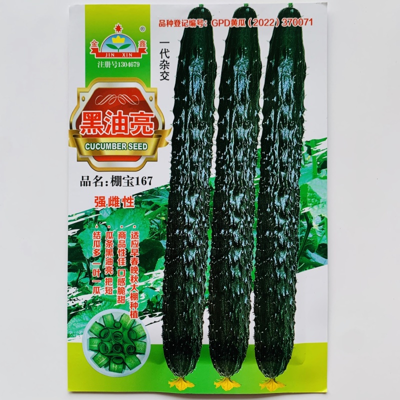 金鑫黑油亮黄瓜种子绿心绿瓤深绿油亮强雌型密刺黄瓜种籽耐寒