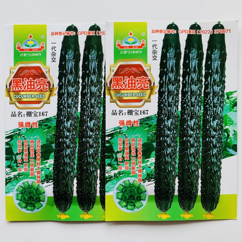金鑫黑油亮黄瓜种子绿心绿瓤深绿油亮强雌型密刺黄瓜种籽耐寒