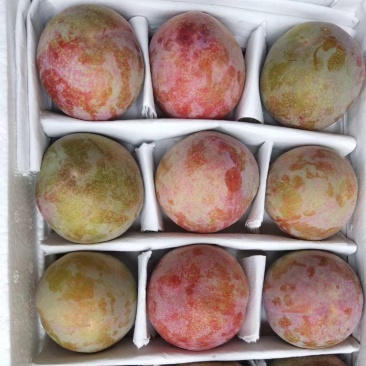 味帝大量上市需要的联系