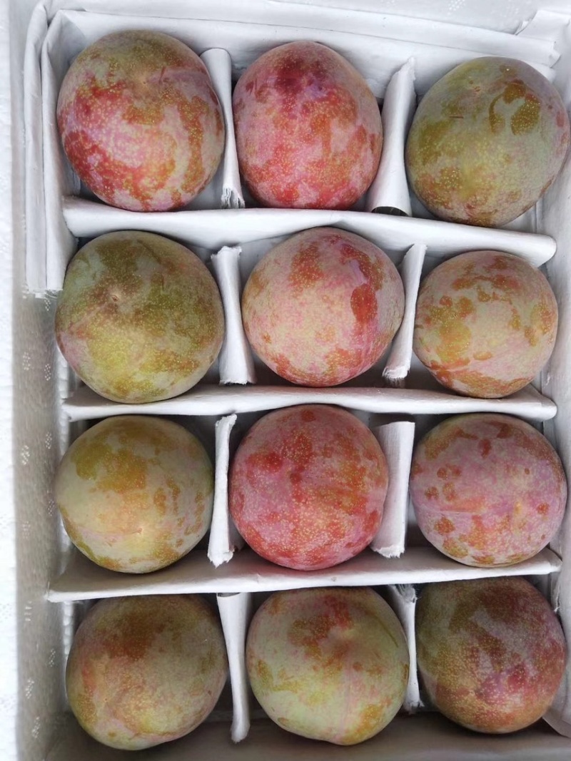 味帝大量上市需要的联系