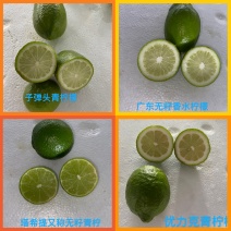 海南香水柠檬广东无籽香水柠檬，海南青柠檬