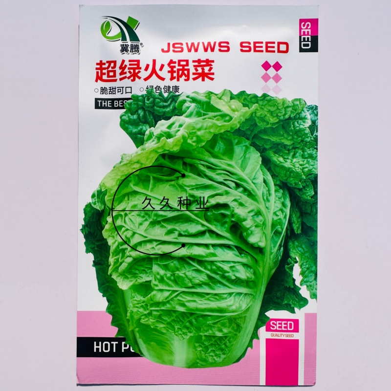 超绿小火锅白菜种子火锅白菜种籽多麻叶黄心大白菜籽四季蔬菜