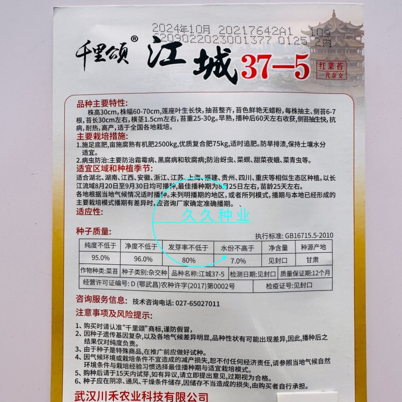 江城37-5红菜苔种子早熟无苦味一代杂交红菜心种子