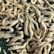 单冻小河虾欢迎下单