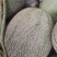 阎良哈密瓜4斤以上