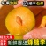 六马蜂糖李新货糖度高甜如蜜品质好一件代发包邮到家