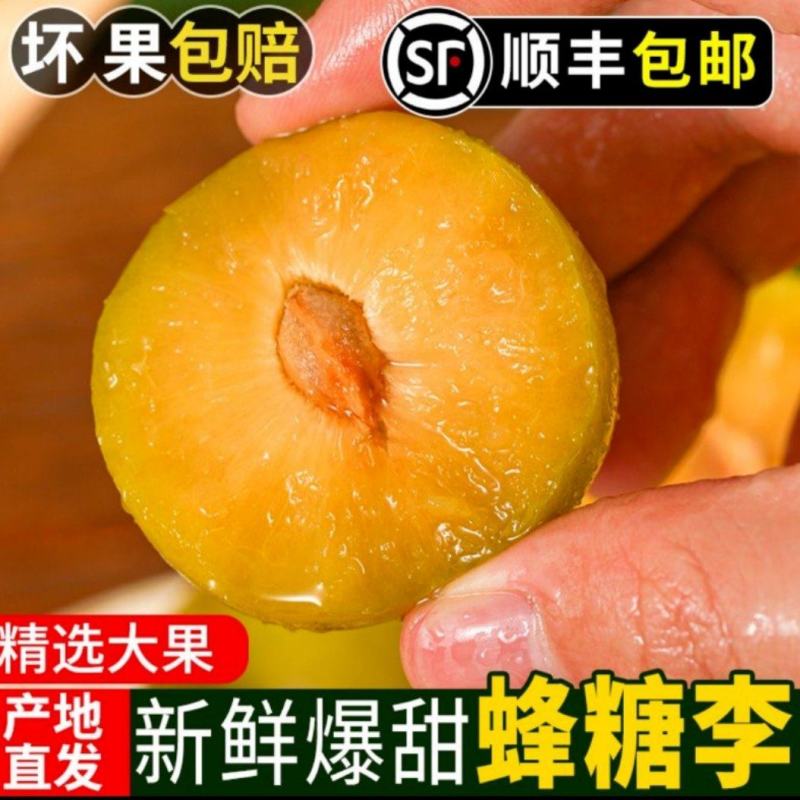 六马蜂糖李新货糖度高甜如蜜品质好一件代发包邮到家