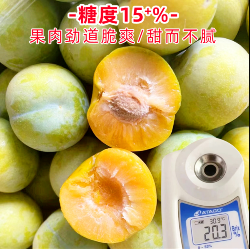 六马蜂糖李新货糖度高甜如蜜品质好一件代发包邮到家