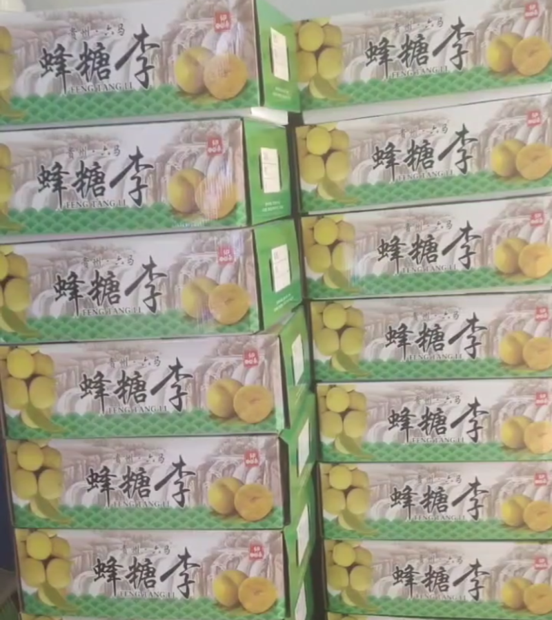 六马蜂糖李新货糖度高甜如蜜品质好一件代发包邮到家