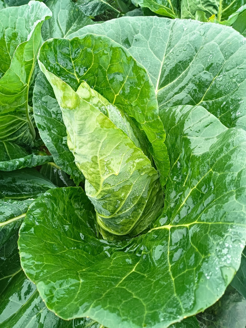 大批量有好货，品质有保障……