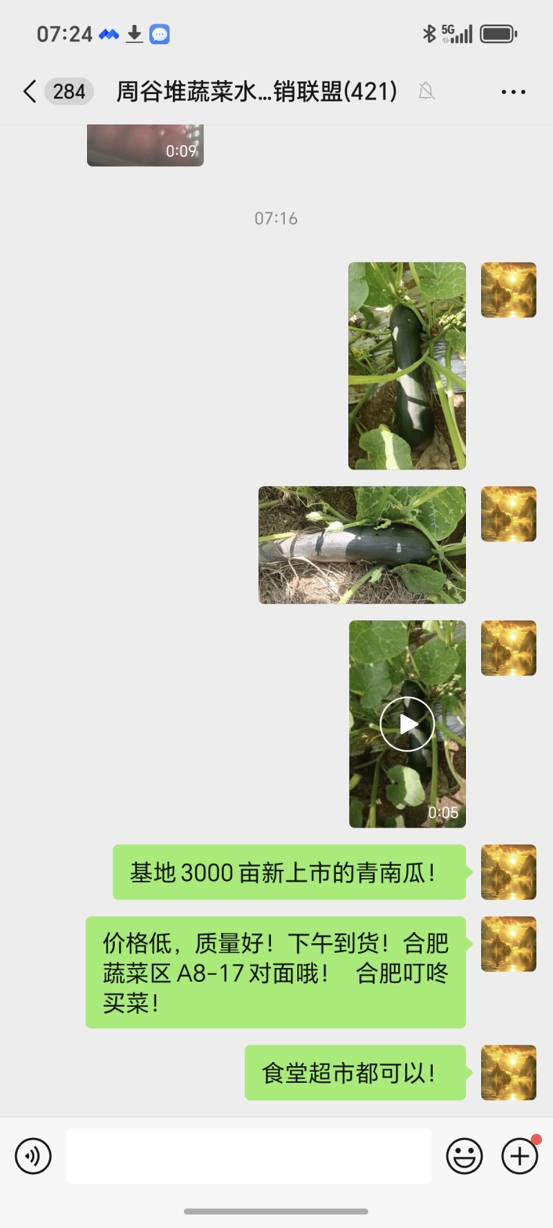 青南瓜，菜南瓜，南瓜条