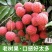 头茬白糖罂荔枝四川荔枝基地直发顺丰包邮供各大电商一件代发