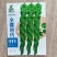 山东寿光全螺时代111全螺麻面螺丝椒种子大果早熟