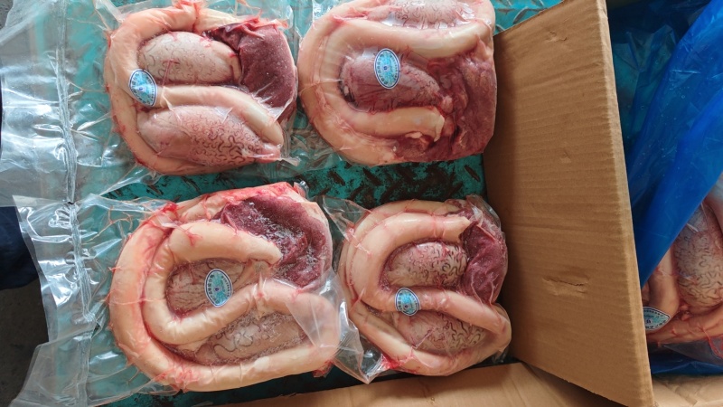 精修黄牛牛鞭宝育肥无油牛鞭个头均匀颜色鲜