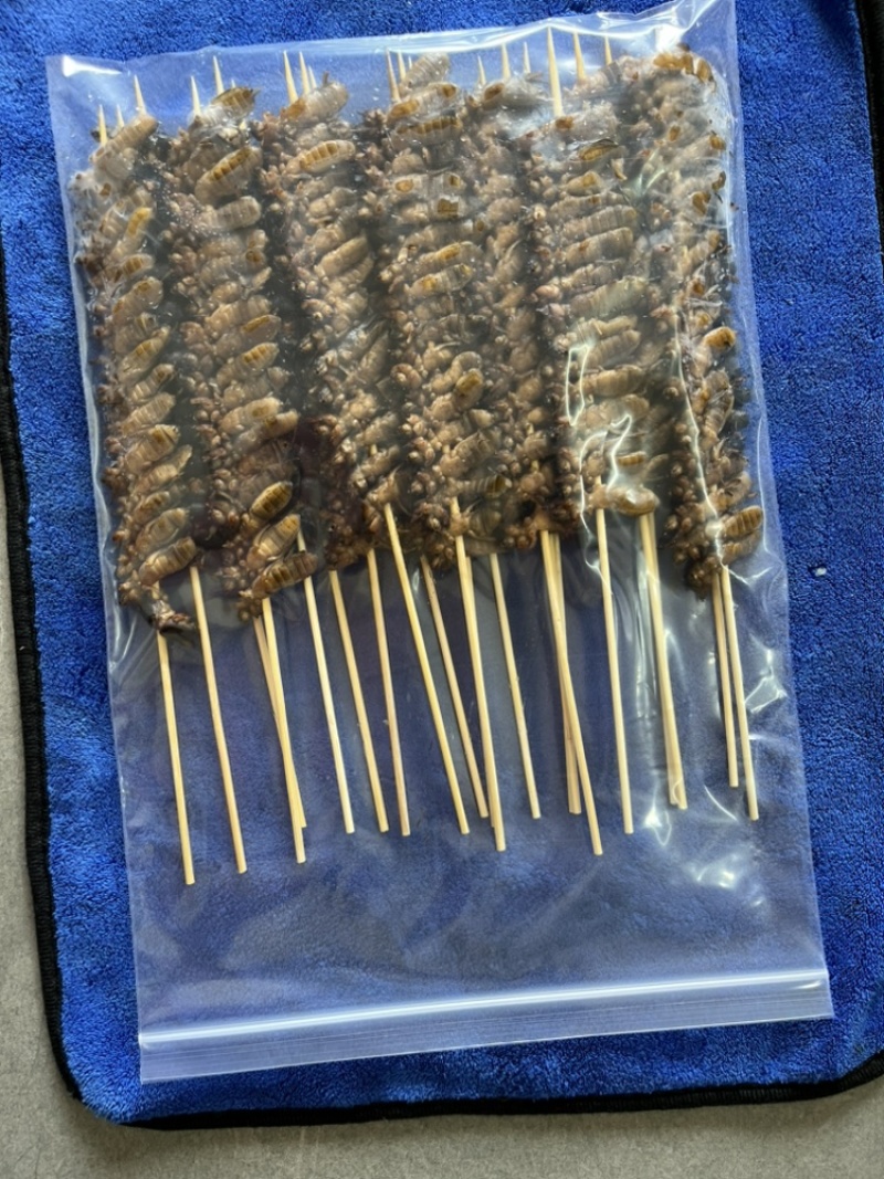 蝼蛄土狗烤串蝼蛄烧烤串食用蝼蛄烧烤店特色食材
