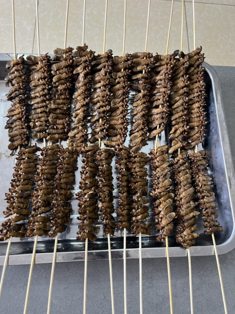 蝼蛄土狗烤串蝼蛄烧烤串食用蝼蛄烧烤店特色食材