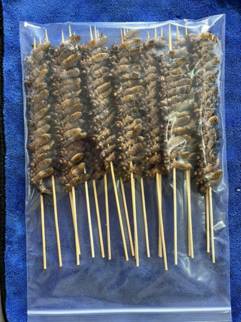 蝼蛄土狗烤串蝼蛄烧烤串食用蝼蛄烧烤店特色食材
