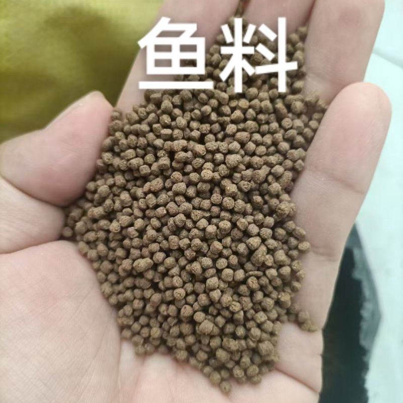 鱼料