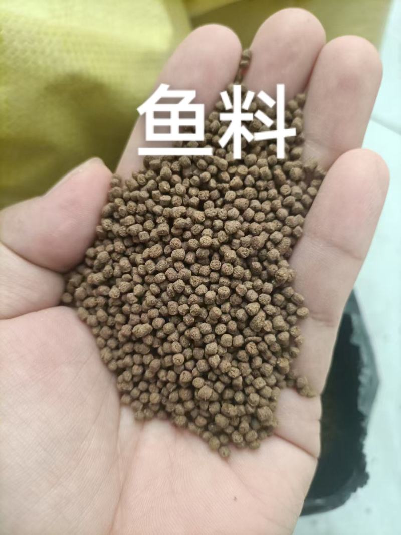 鱼料