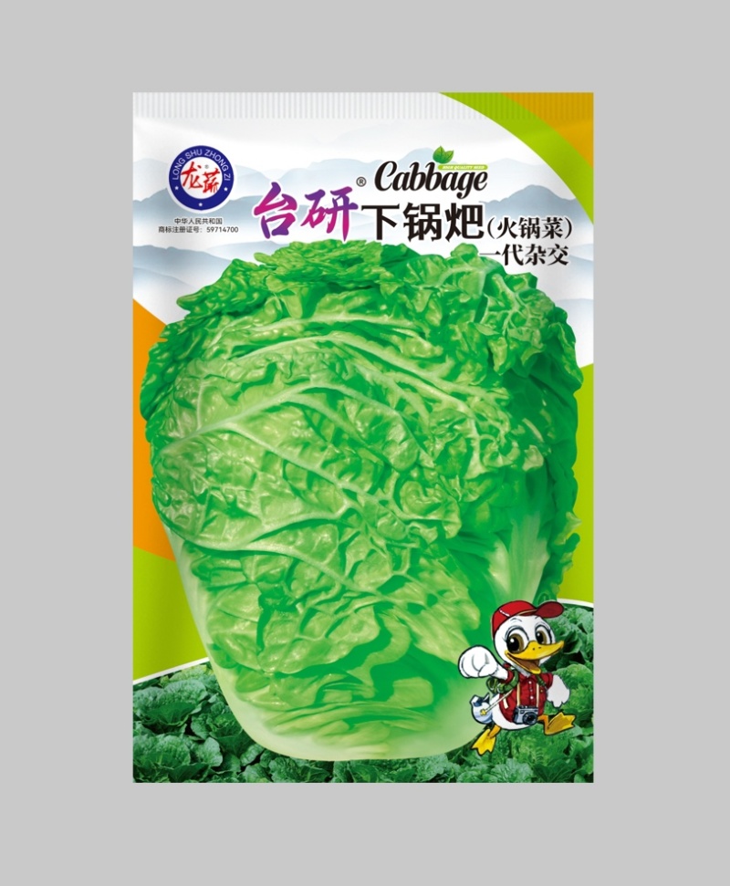 火锅菜种子麻叶四季甜脆皱叶大白菜下锅耙多叶少筋