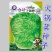 火锅菜种子麻叶四季甜脆皱叶大白菜下锅耙多叶少筋