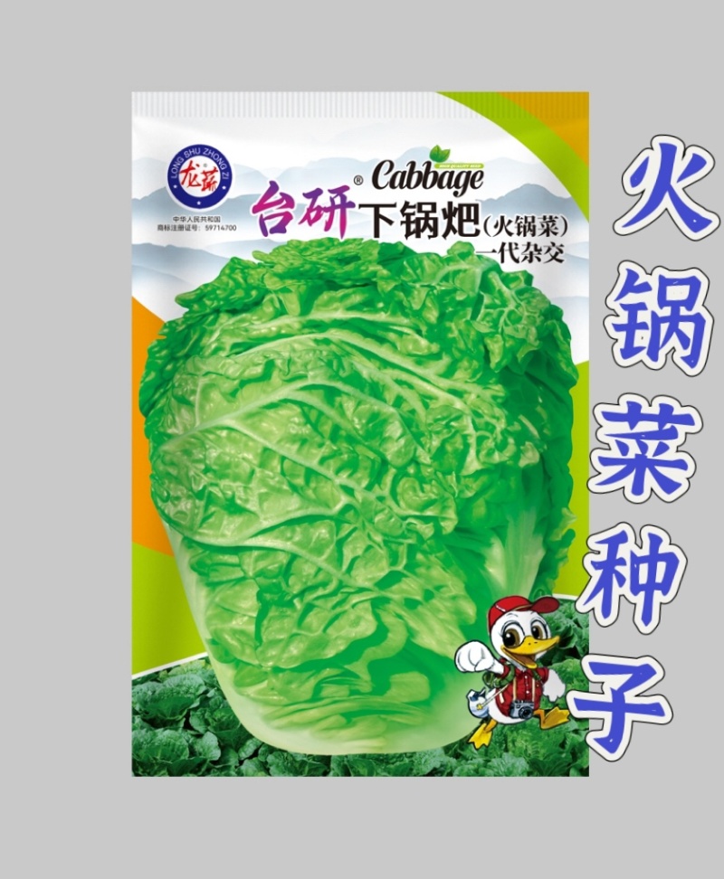 火锅菜种子麻叶四季甜脆皱叶大白菜下锅耙多叶少筋