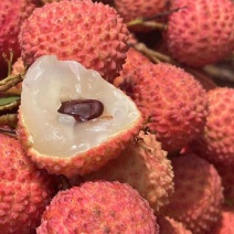 桂味，市场电商一件代发，日发万单