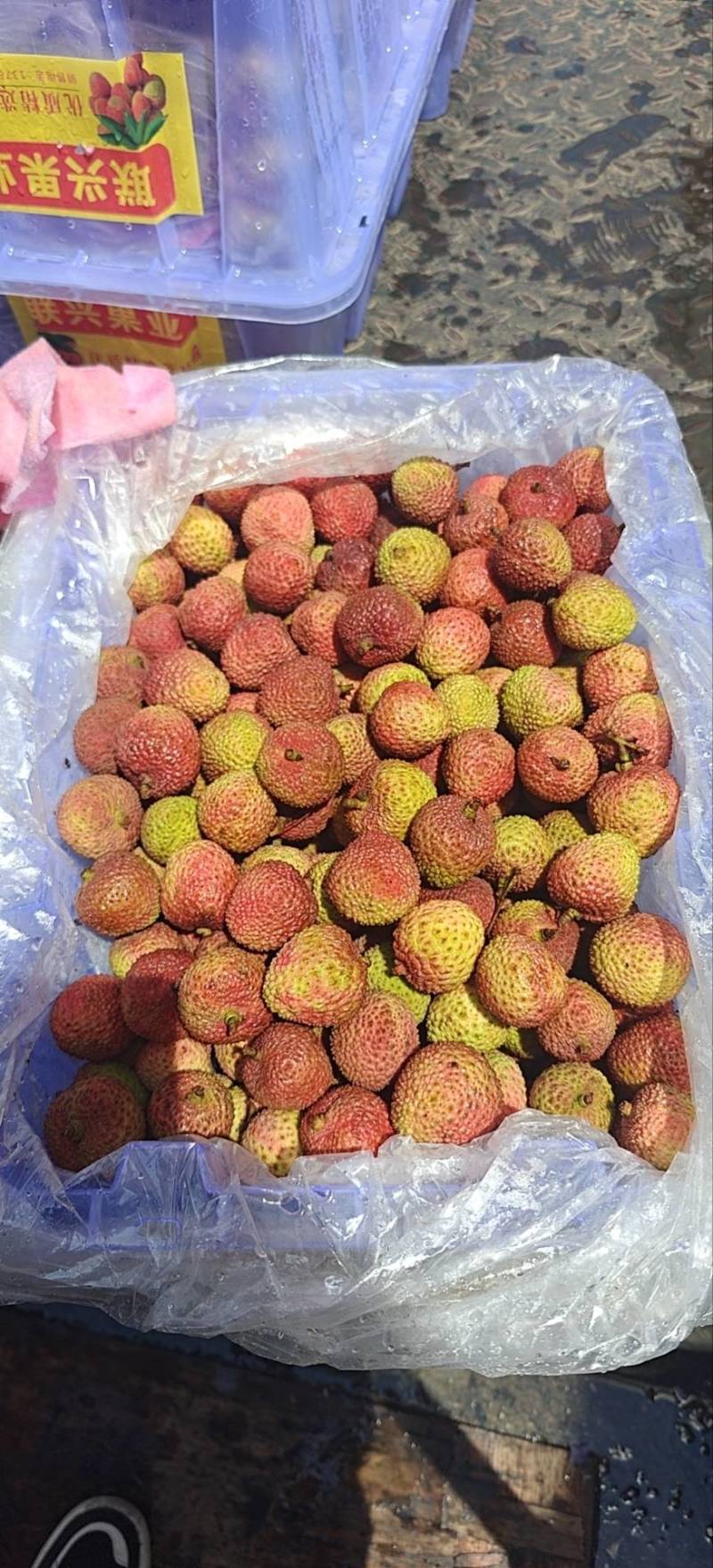 广东A级精品妃子笑荔枝，广东一级妃子笑荔枝，广东荔枝大果