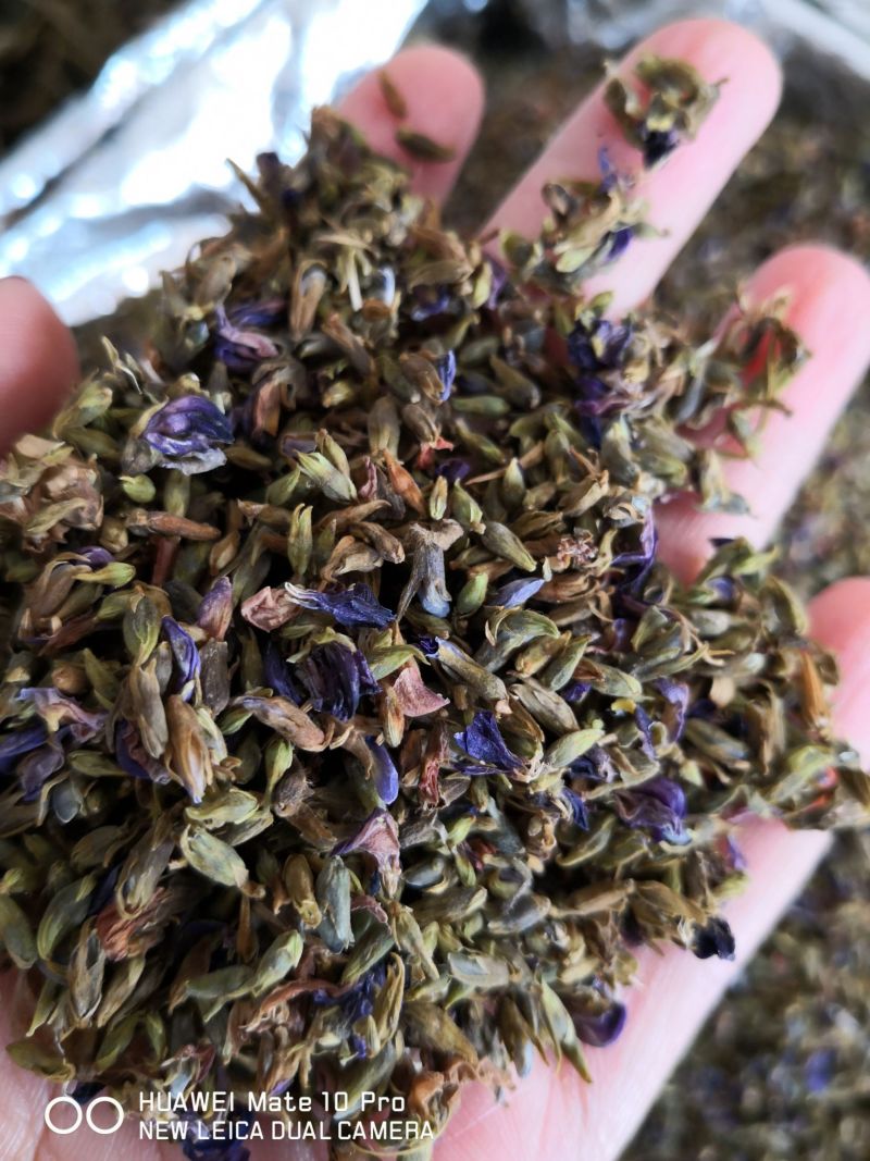 小葛花颜色好药食同源量大优惠