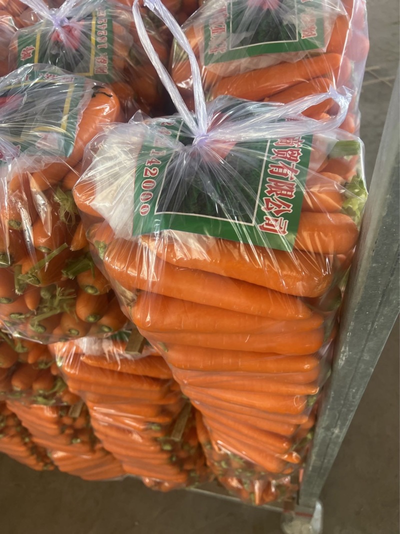 山东一级水洗胡萝卜，山东A级精品水洗胡萝卜，山东胡萝卜