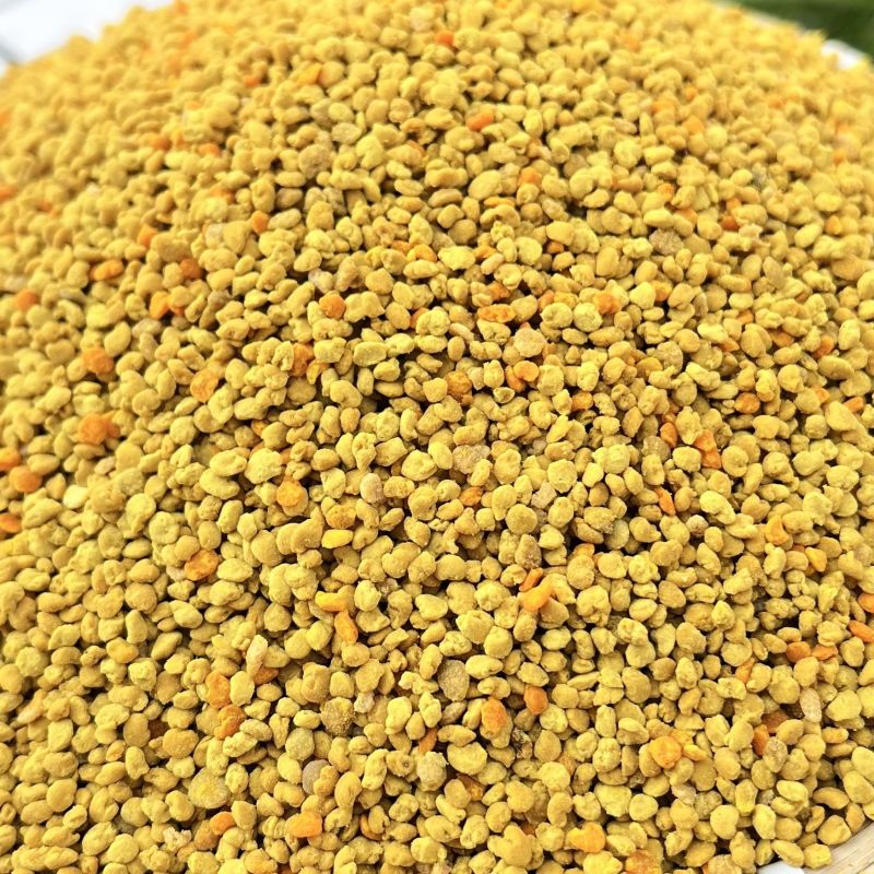 百花粉油菜杂粉纯正天然新鲜大颗粒杂花粉