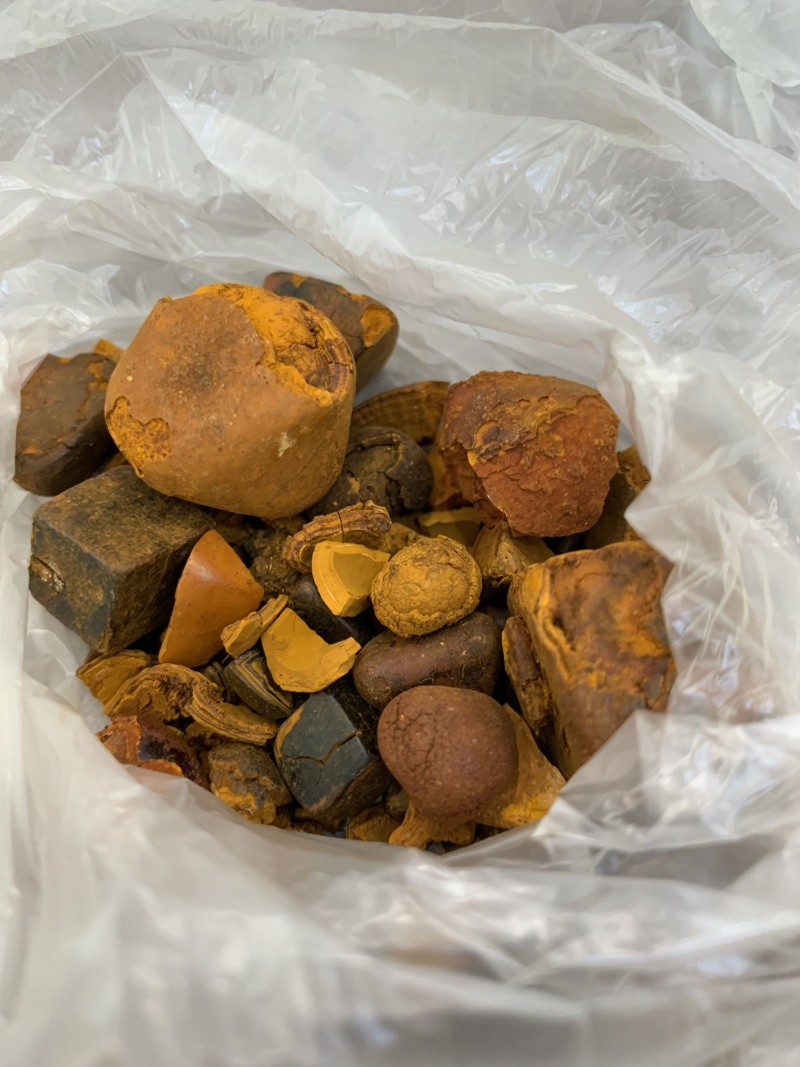 本公司大量收购天然牛黄，有货请联系
