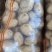 山东黄心土豆荷兰十五土豆v7/希森/沃土/实验各种