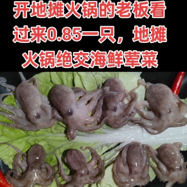 可以吃火锅的八爪鱼，地摊火锅福音