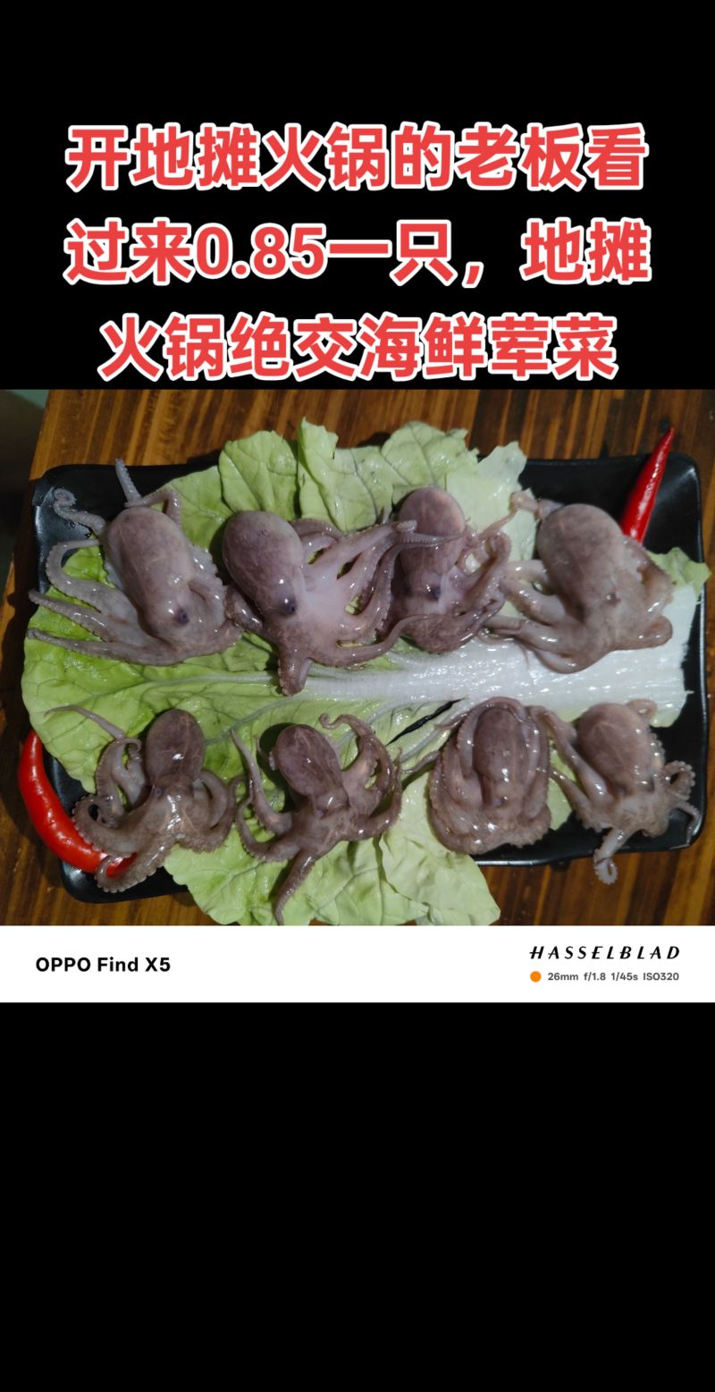可以吃火锅的八爪鱼，地摊火锅福音