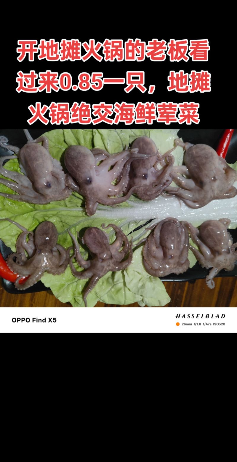 可以吃火锅的八爪鱼，地摊火锅福音