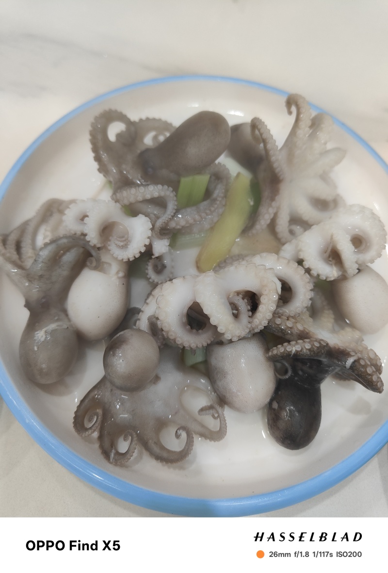 可以吃火锅的八爪鱼，地摊火锅福音