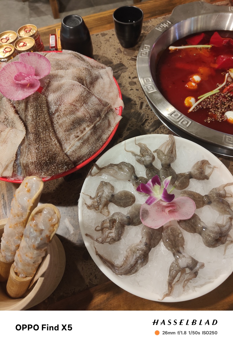 可以吃火锅的八爪鱼，地摊火锅福音