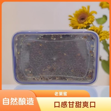 现切割老巢蜜纯正天然成熟蜂窝封盖老蜂巢蜜