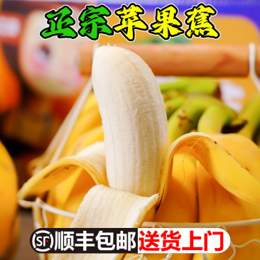 广东苹果蕉一件代发