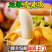 广东苹果蕉一件代发