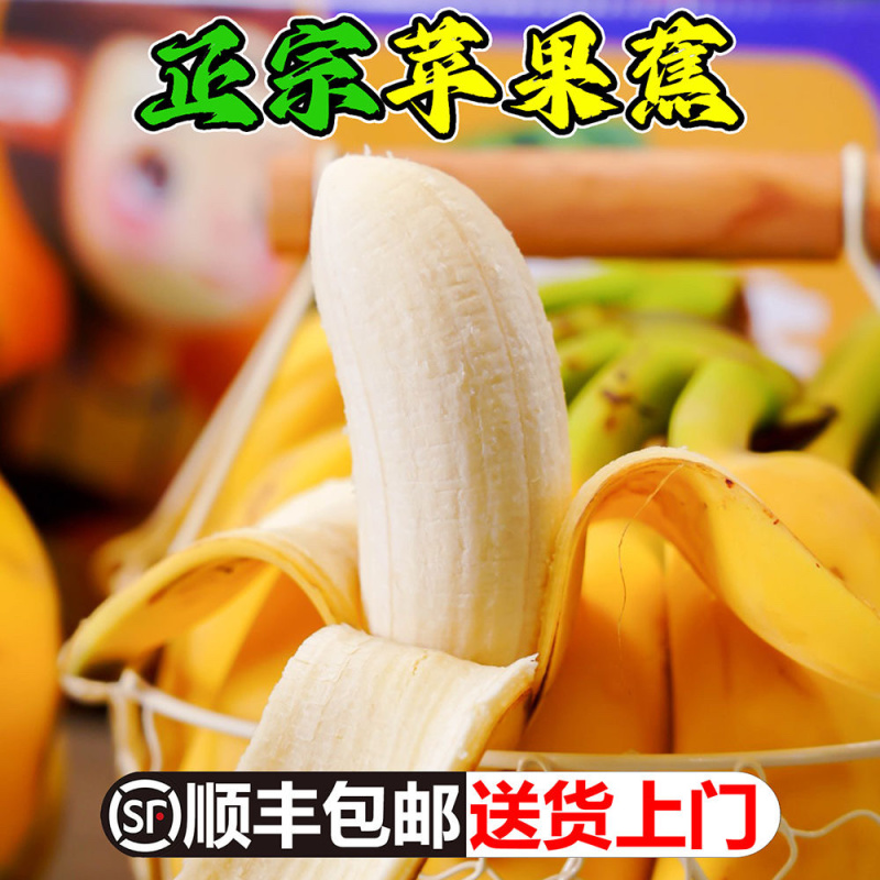 广东苹果蕉一件代发