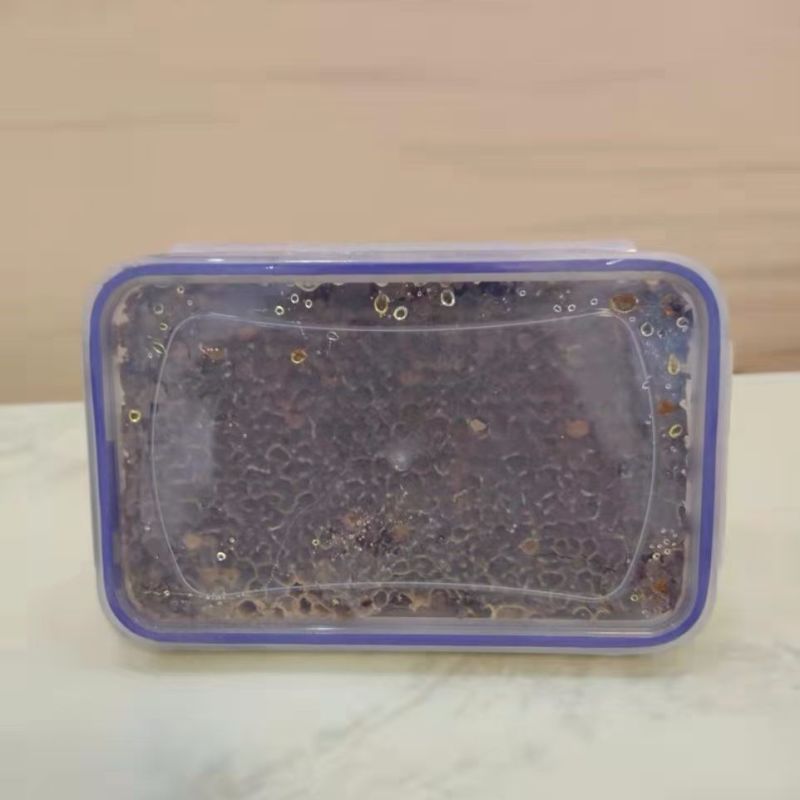 现切割老巢蜜纯正天然成熟蜂窝封盖老蜂巢蜜