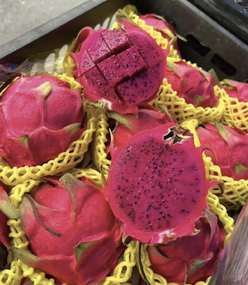 广州，火龙果，大量上市品质保证量大从优一手货源