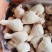 一级琵琶腿130-150
