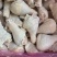 一级琵琶腿130-150