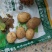 沃土土豆