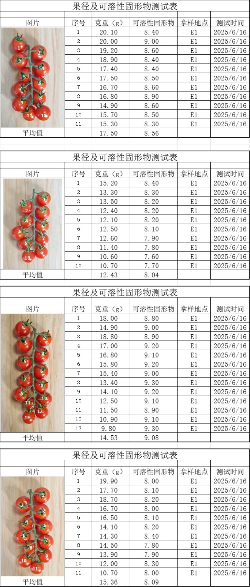 串番茄saopolo